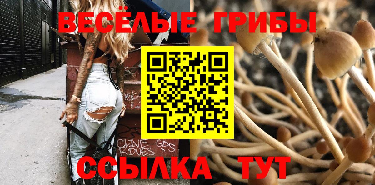 Галлюциногенные грибы Magic Shrooms Железногорск