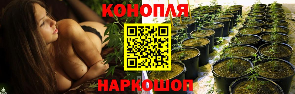 Шишки марихуана ГИДРОПОН  Вход с VPN  Бошки Шишки AK-47  Шишки марихуана THC 21%  Железногорск 